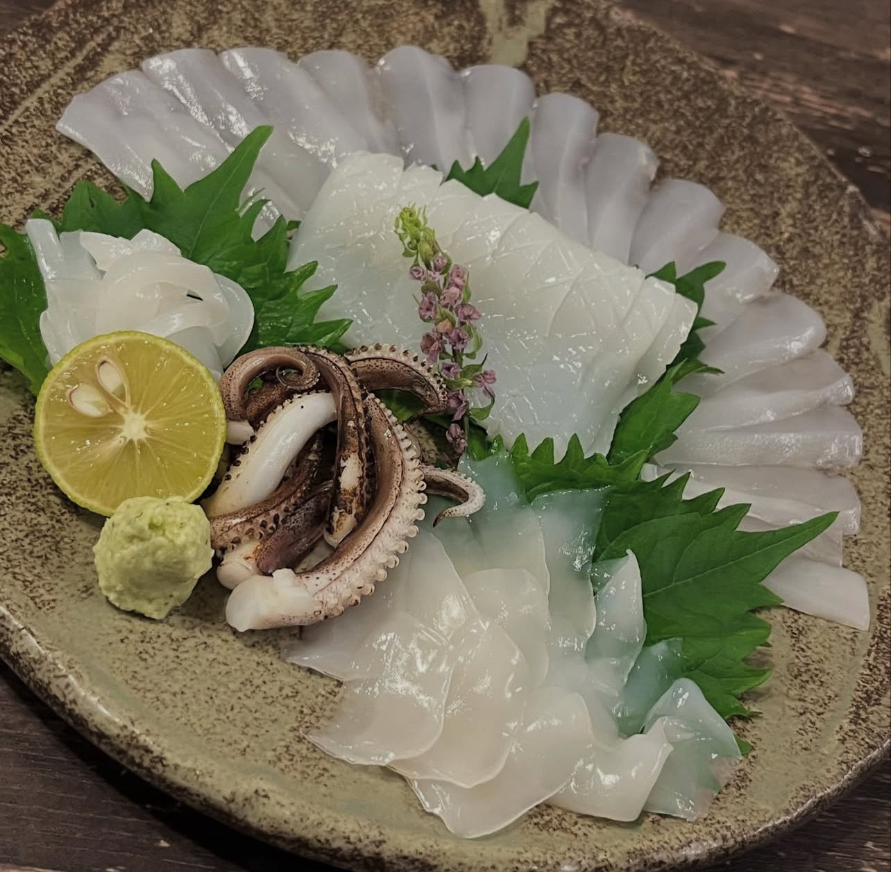 Premium Japanese Bigfin Reef Squid (Aori Ika) 2.2~9LB