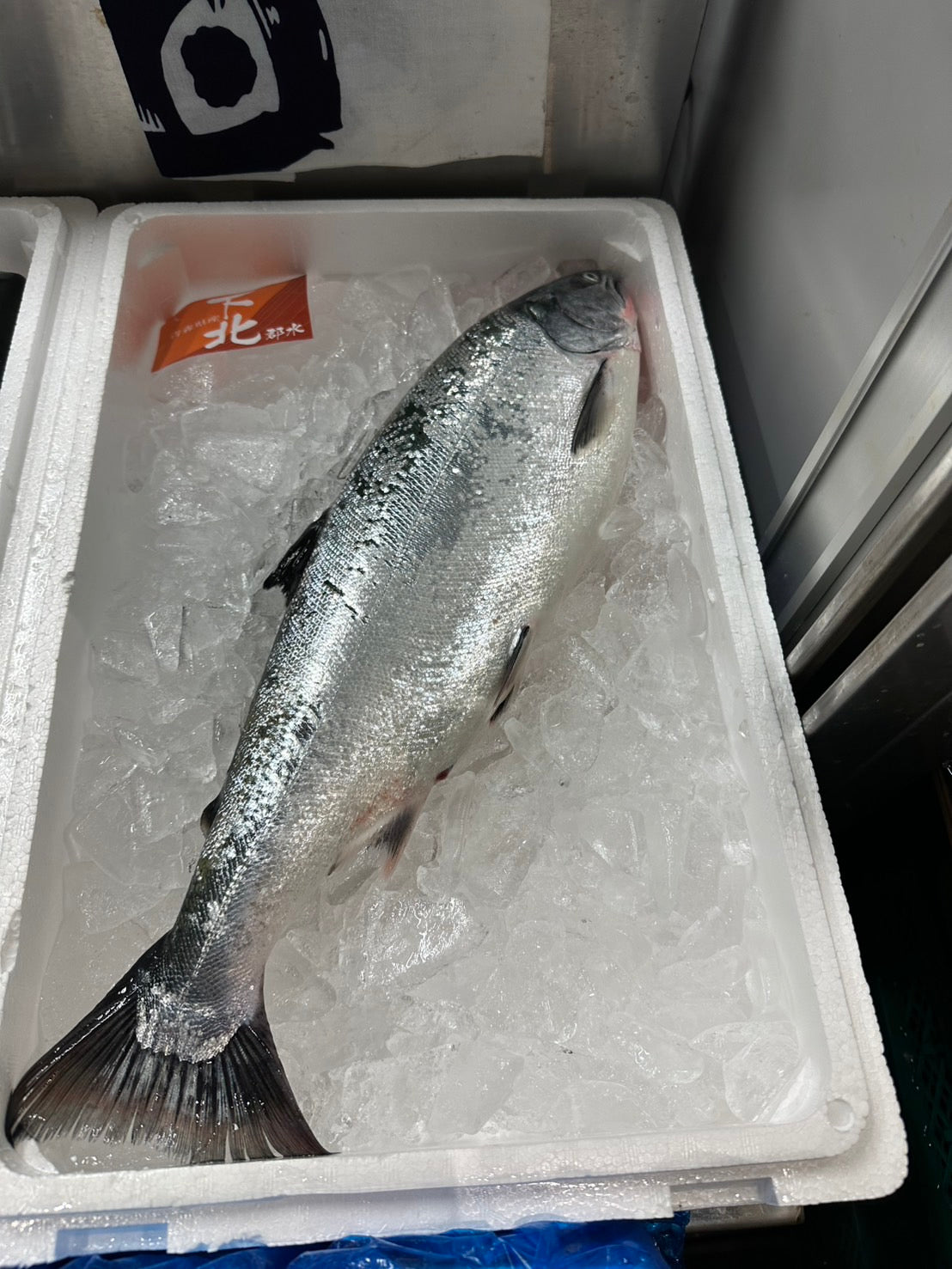 Premium Japanese Cherry Salmon (Sakuramasu)