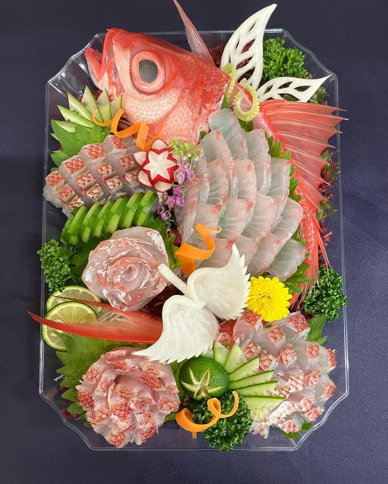 Premium Japanese Flame Snapper (Onagadai) 2.2~6.7LB