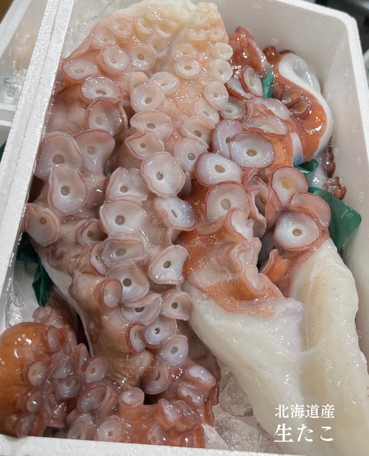 Premium Japanese Octopus (Tako Ashi) Leg from Hokkaido 1.8~3.4LB
