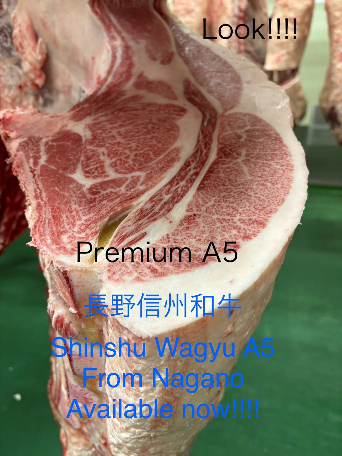 Premium Japanese A5 Wagyu Top Round Block 10~12LB