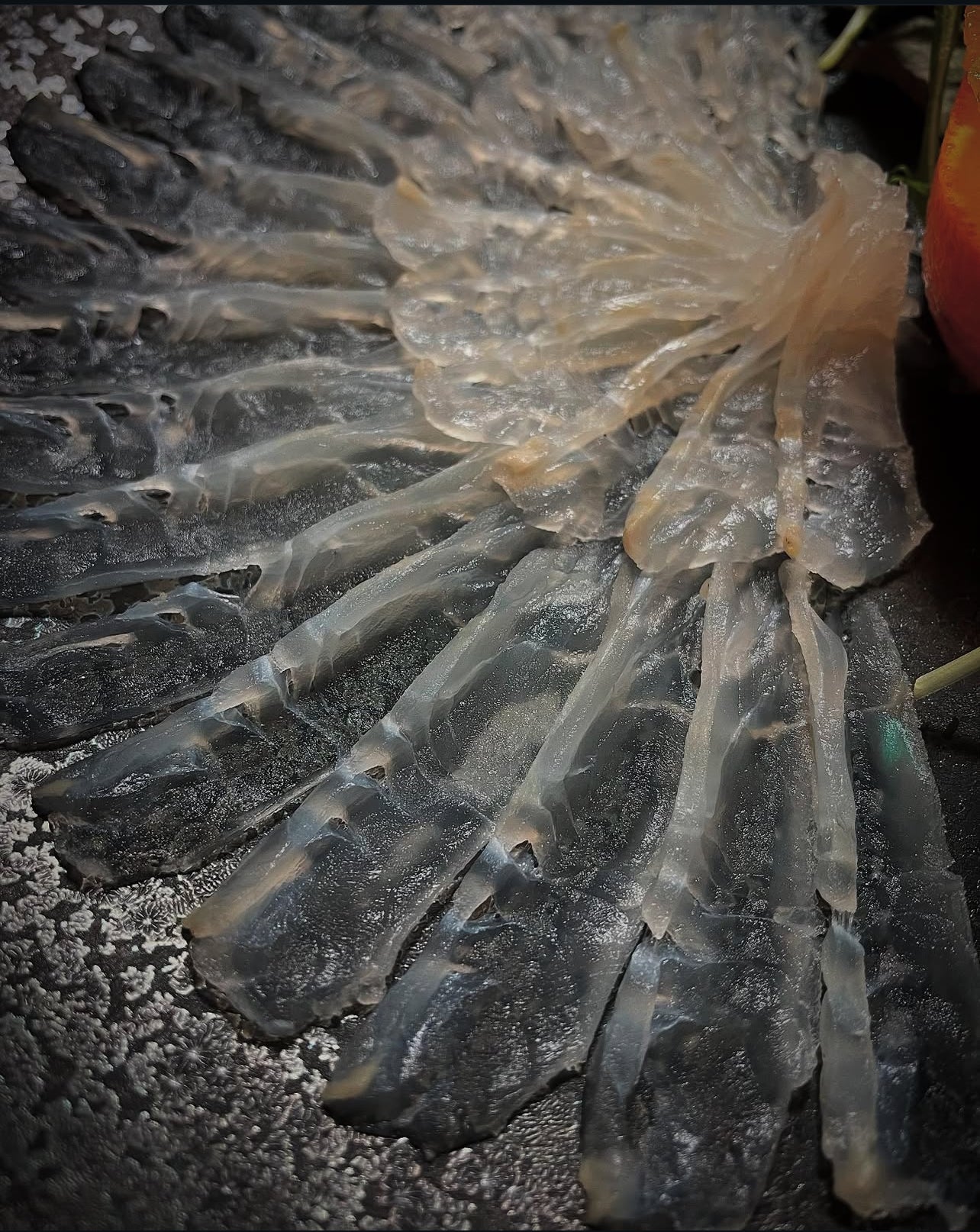 Premium "Ikijime" Farmed Japanese Flounder (HIRAME) 3.5~4.5LB