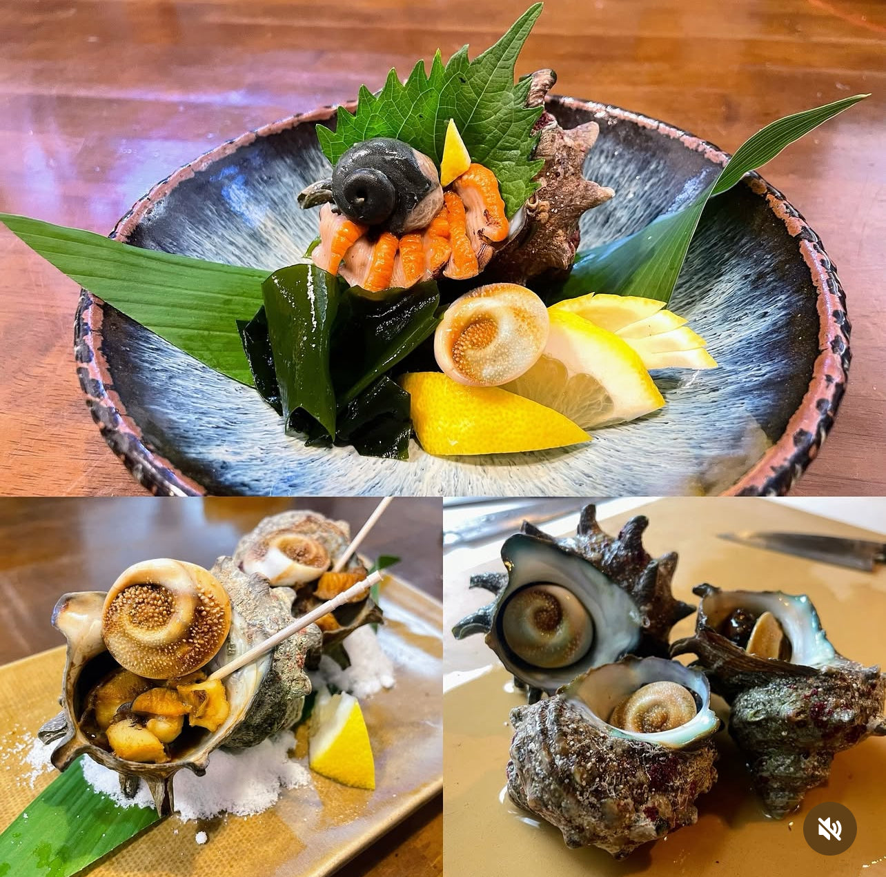 Premium Fresh Japanese Turban Shell (Sazae) - Wild Caught