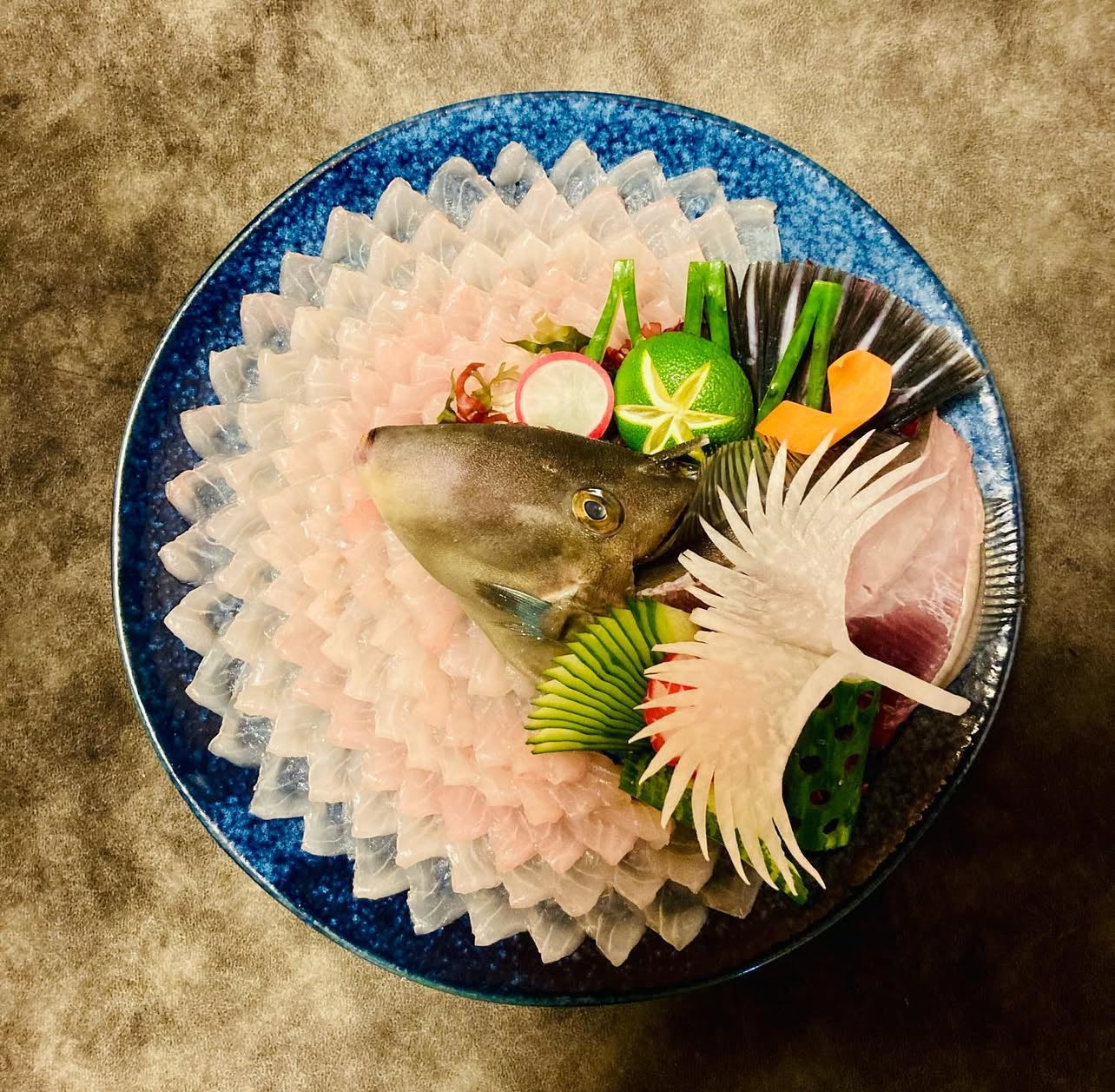 Premium Japanese Filefish / Black Scraper (Umazurahagi) 1.5~2.2LB