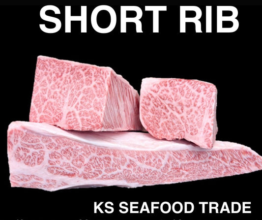 Nagano Shinshu Premium A5 Wagyu - (Short Rib)  Block 6~8LB