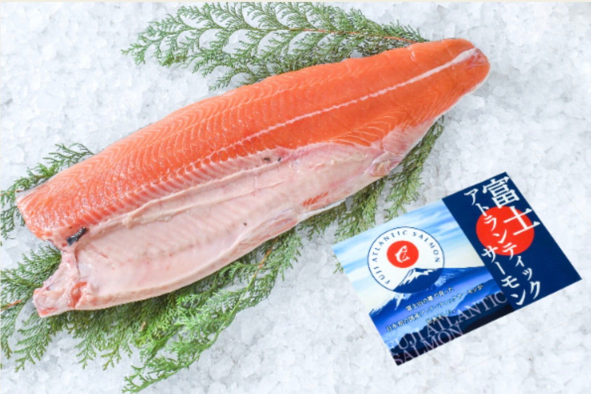 PREMIUM JAPANESE FUJI ATLANTIC SALMON 6.7~10LB