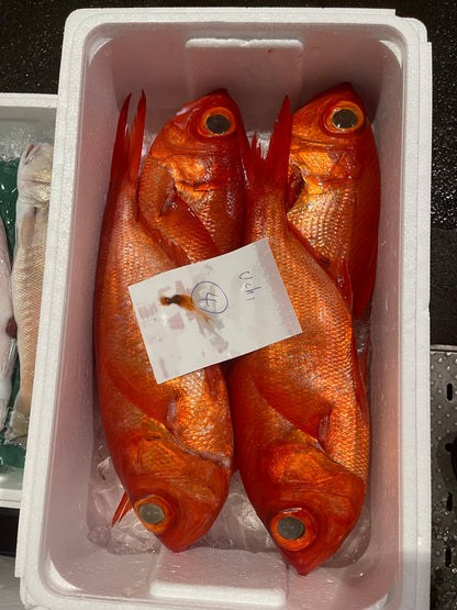 Wild-Caught Japanese Splendid Alfonsino (Kinmedai)