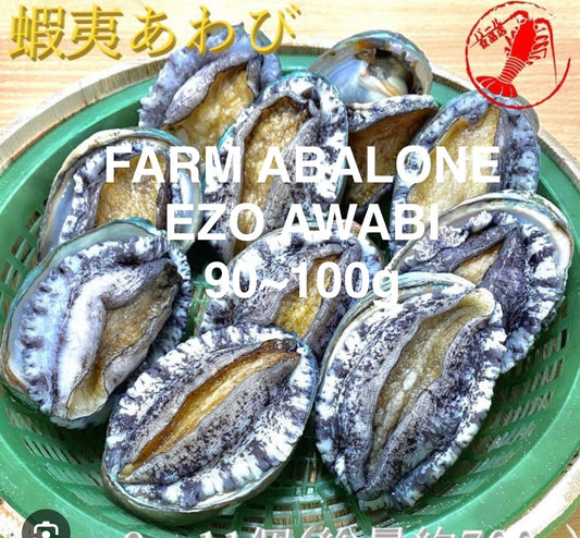 Premium Farmed Ezo Abalone (Japanese Abalone) アワビ