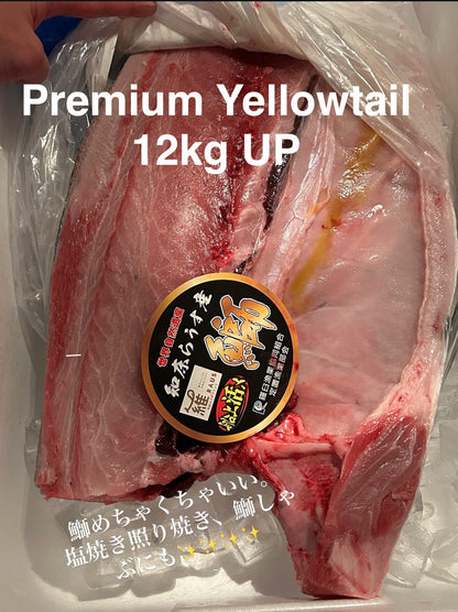 Premium Wild Japanese Yellowtail (Kan-Buri)  21~27LB