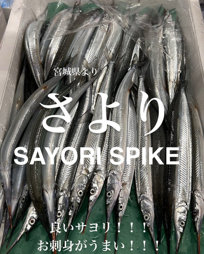 Premium Fresh Japanese Halfbeak (Sayori) 100g~120g