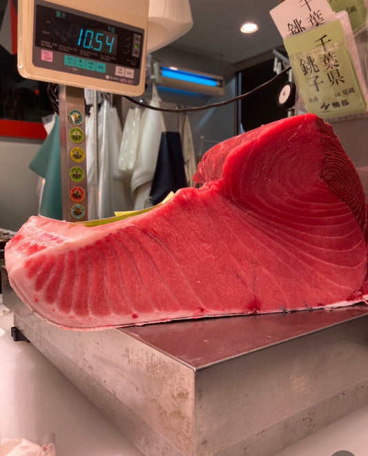 Premium Japanese Farm-Raised Bluefin Tuna (Hon-Maguro Block) 20LB