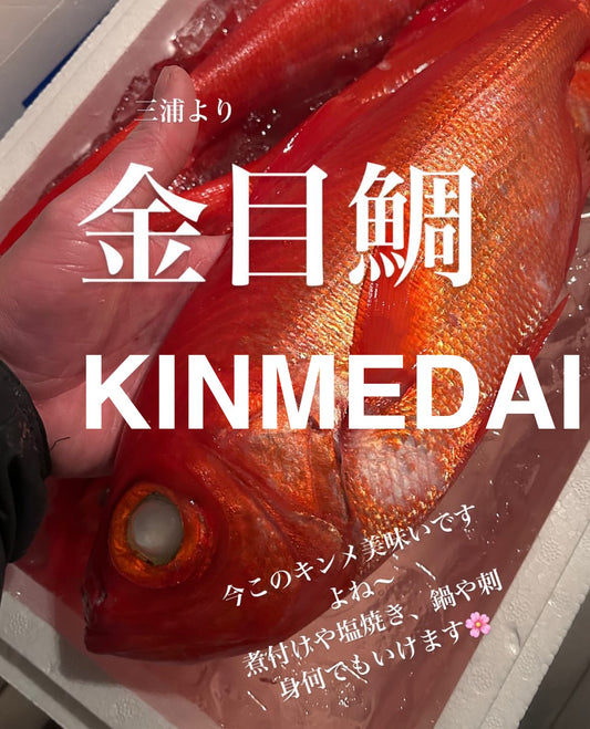 Wild-Caught Japanese Splendid Alfonsino (Kinmedai)