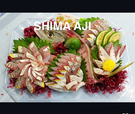 Premium Farmed Striped Jack (SHIMA AJI - Ikejime processed)