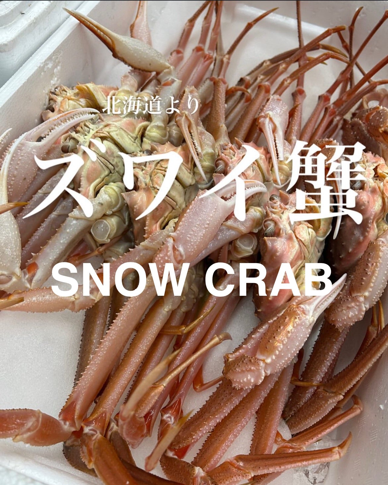 Premium Hokkaido Snow Crab (Zuwai-gani) 1.8~2.5LB