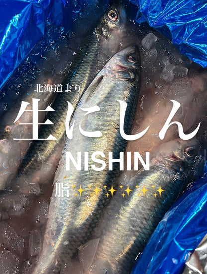 Premium Japanese Herring (Nishin)150~300g