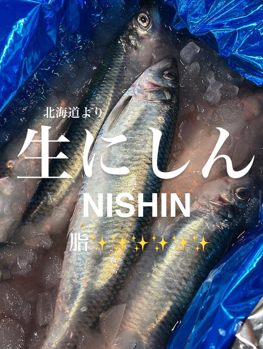 Premium Japanese Herring (Nishin)150~300g