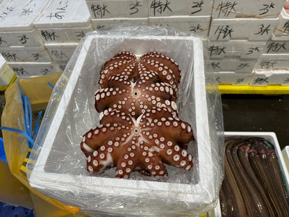 Premium Steamed Octopus (Mushi Tako) - 2.5~4.5LB