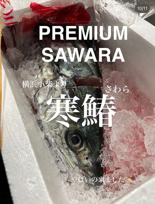 Premium Japanese Spanish Mackerel (Sawara) 6.7~11.2LB