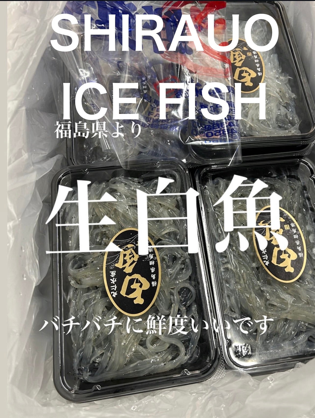 Premium Japanese Icefish (Shirauo)200g/pk