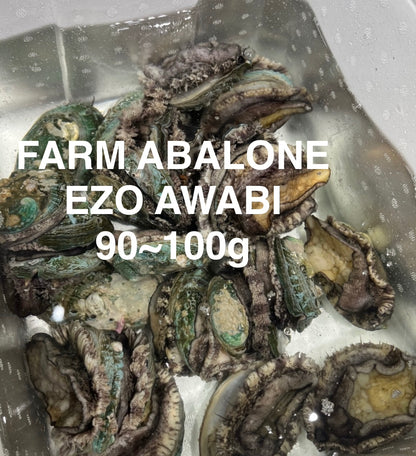Premium Farmed Ezo Abalone (Japanese Abalone) アワビ