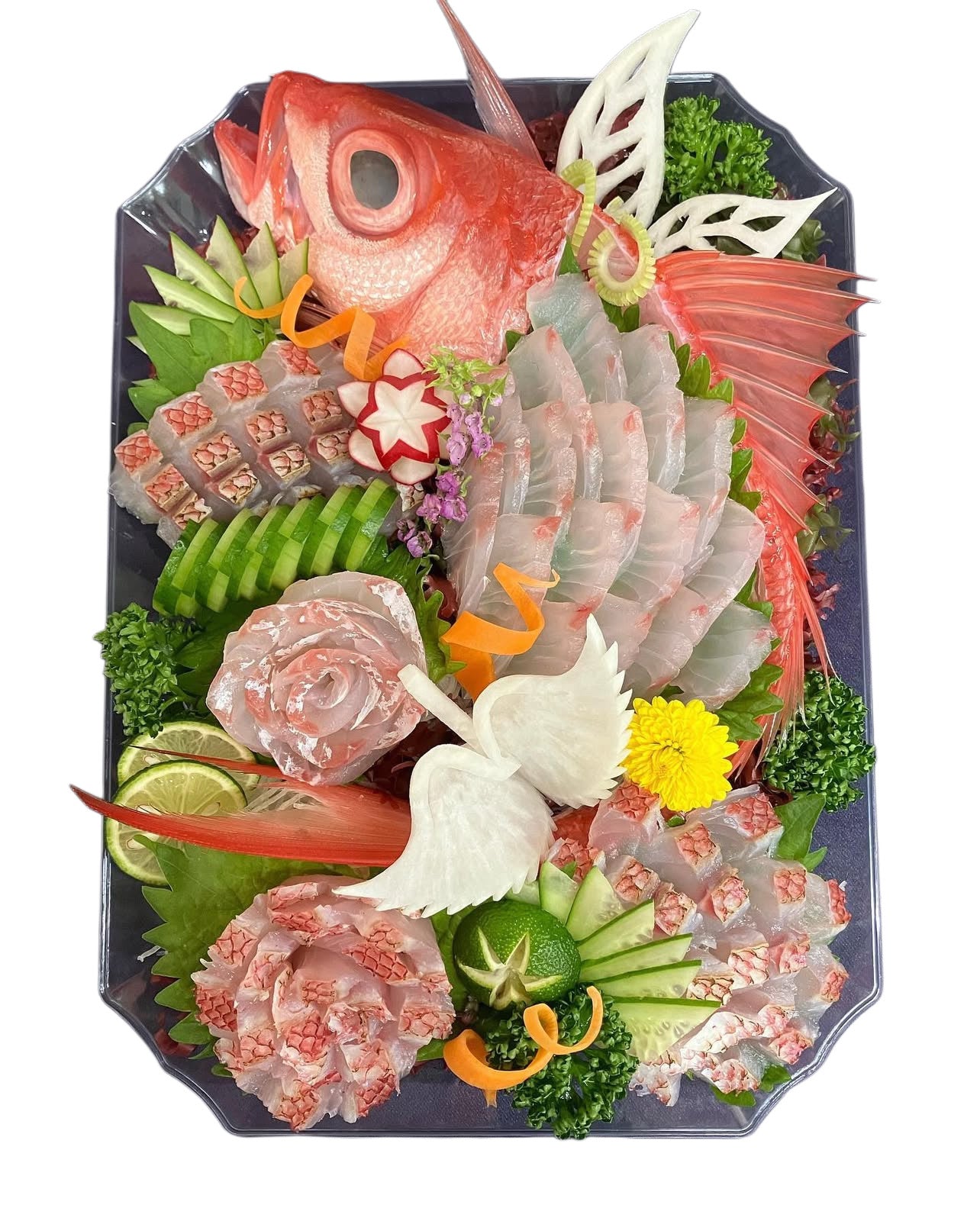 Premium Japanese Flame Snapper (Onagadai) 2.2~6.7LB