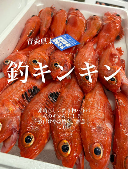 Premium Channel Rockfish(HOKKAIDO KINKI) 0.7~1.6LB