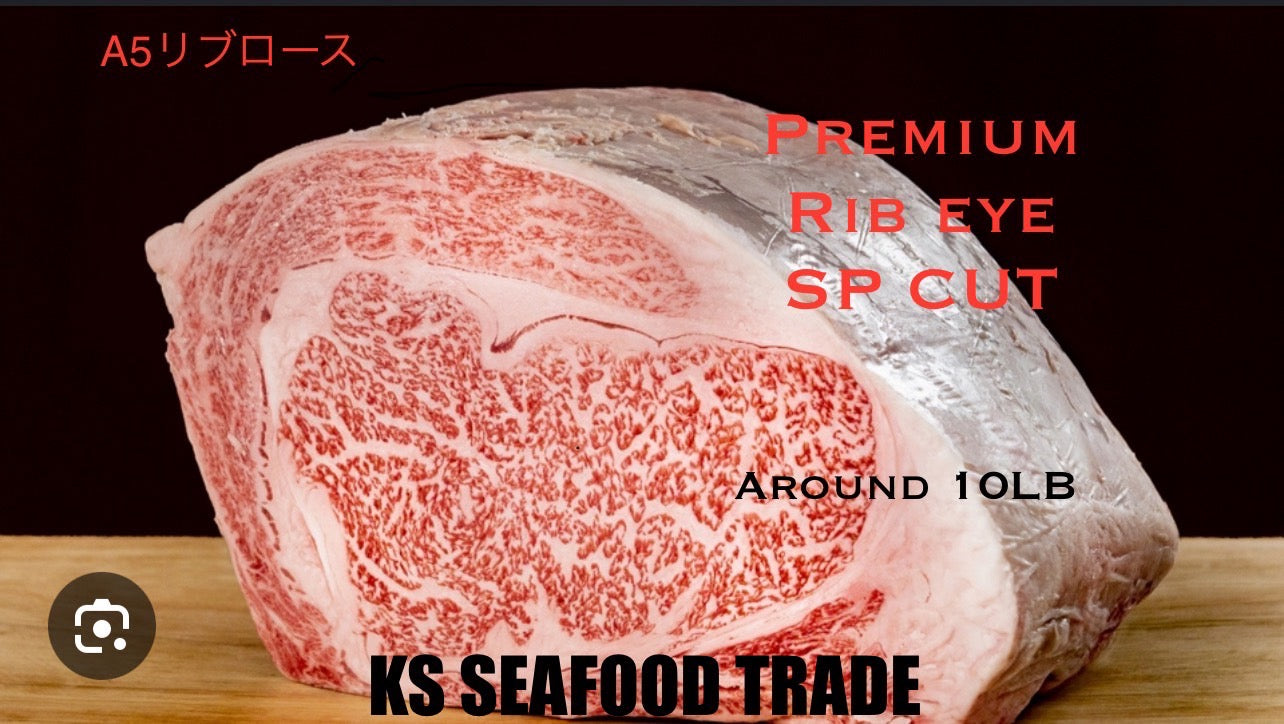 Nagano Premium Japanese Wagyu A5 Ribeye Block 8~10LB