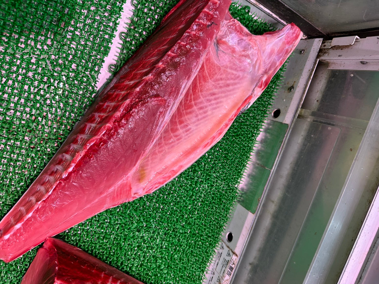 Japanese Baby Bluefin Tuna (Meji-Maguro) 15kg / Half OK