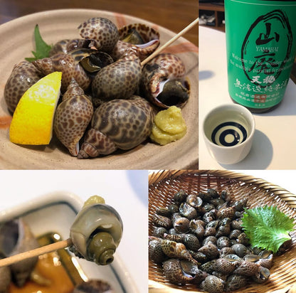 Premium Japanese Black Whelk (Kuro-Baigai) - 10pc/pk