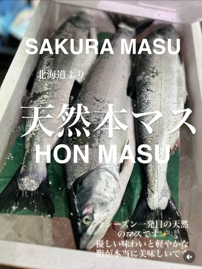 Premium Japanese Cherry Salmon (Sakuramasu)