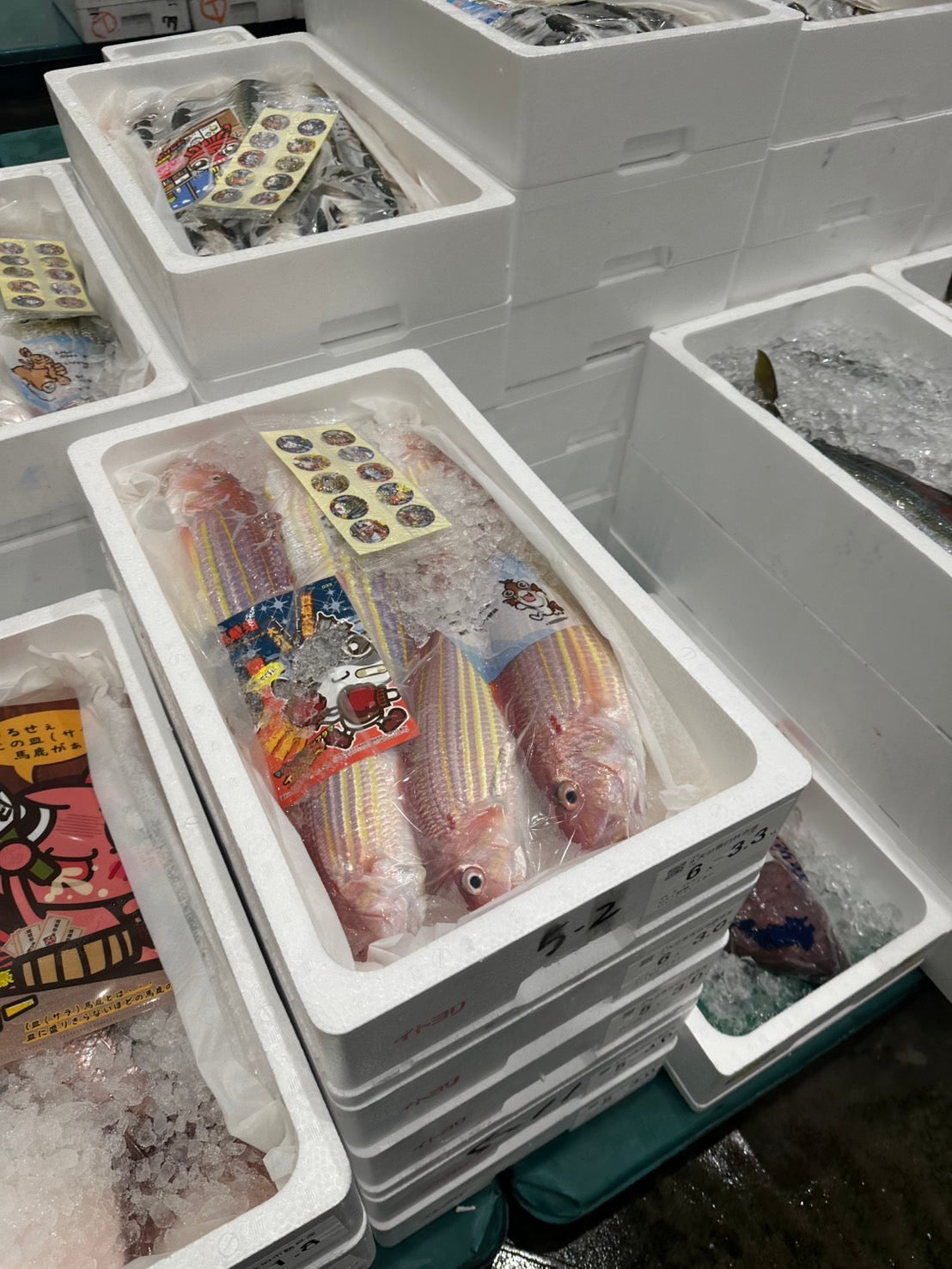 Premium Japanese Golden Threadfin Bream (Itoyori) 1.4~2.7LB