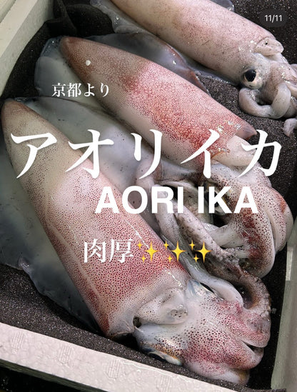 Premium Japanese Bigfin Reef Squid (Aori Ika) 2.2~9LB