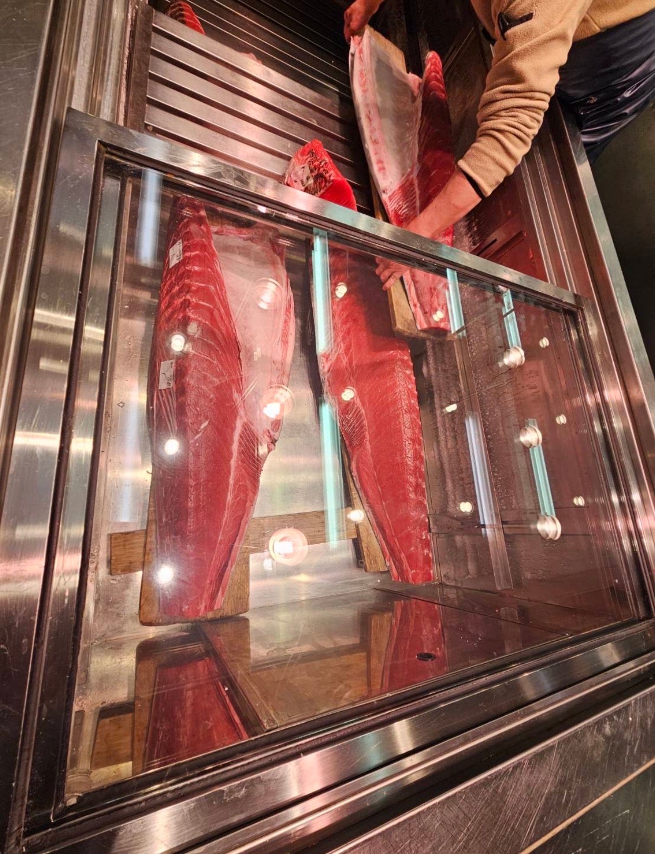Premium Japanese Farm-Raised Bluefin Tuna Loin (Hon-Maguro) 30~50LB Back Loin