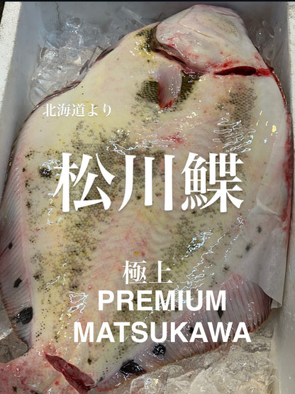 Premium Japanese King of Flounders(MATSUKAWA GAREI) 2.2~6.8LB