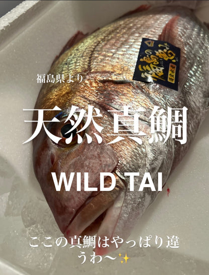 Premium Wild-Caught Japanese Red Sea Bream (Madai) 2.2~6.7LB
