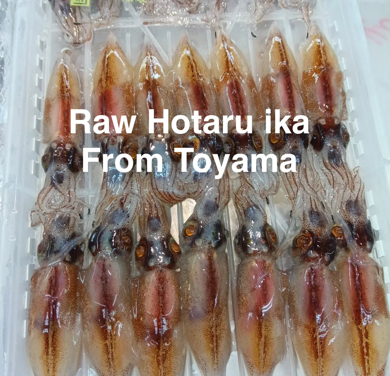 Premium Raw Firefly Squid (Hotaru-Ika) - 200g/PK