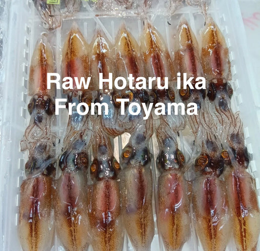 Premium Raw Firefly Squid (Hotaru-Ika) - 200g/PK
