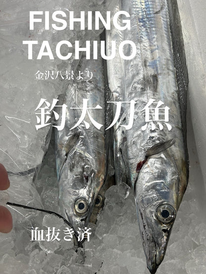 Premium Line-Caught Japanese Hairtail (Tachiuo) 2.7~4.5LB