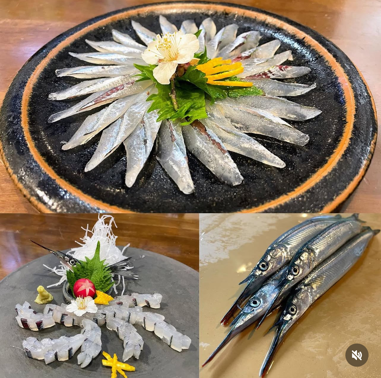 Premium Fresh Japanese Halfbeak (Sayori) 100g~120g