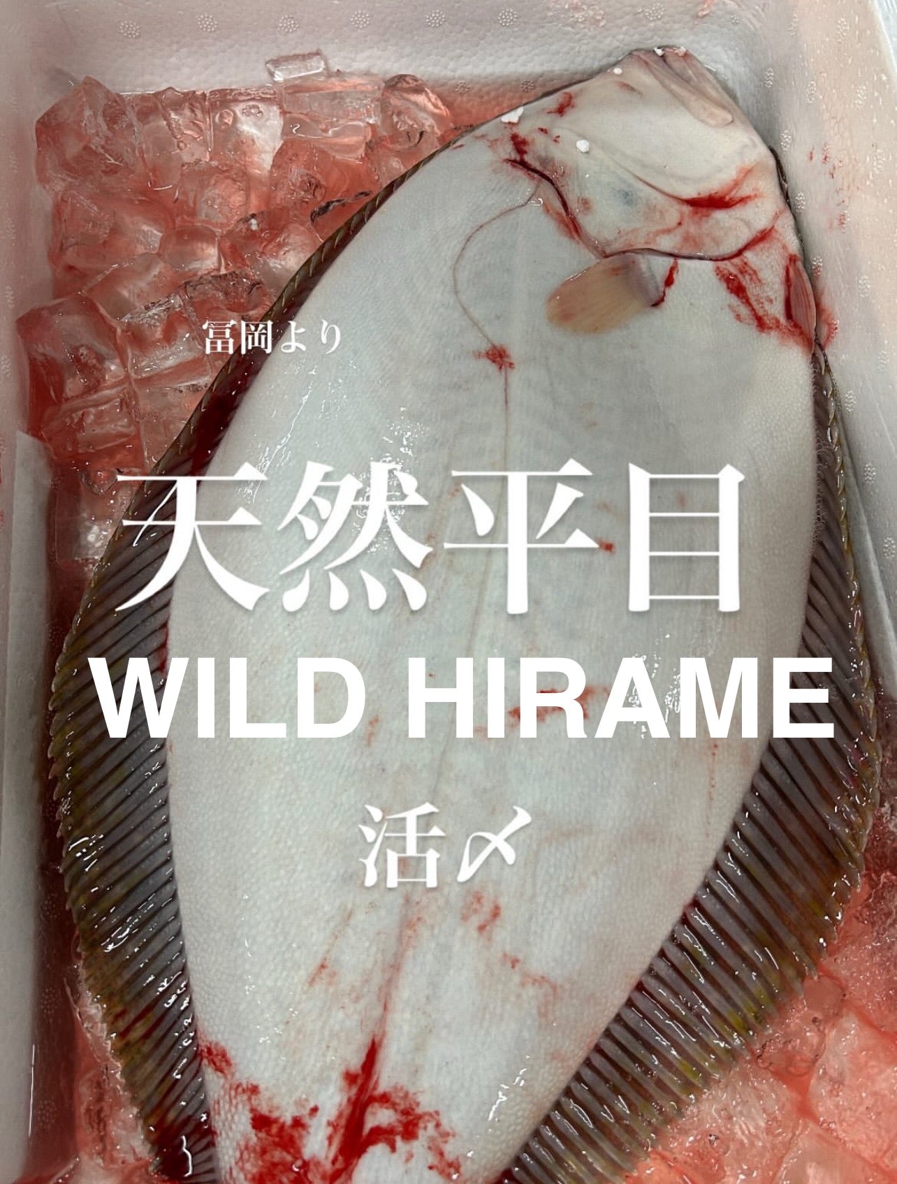 Premium Wild Japanese Flounder (Wild Hirame) 3.4~6.7LB