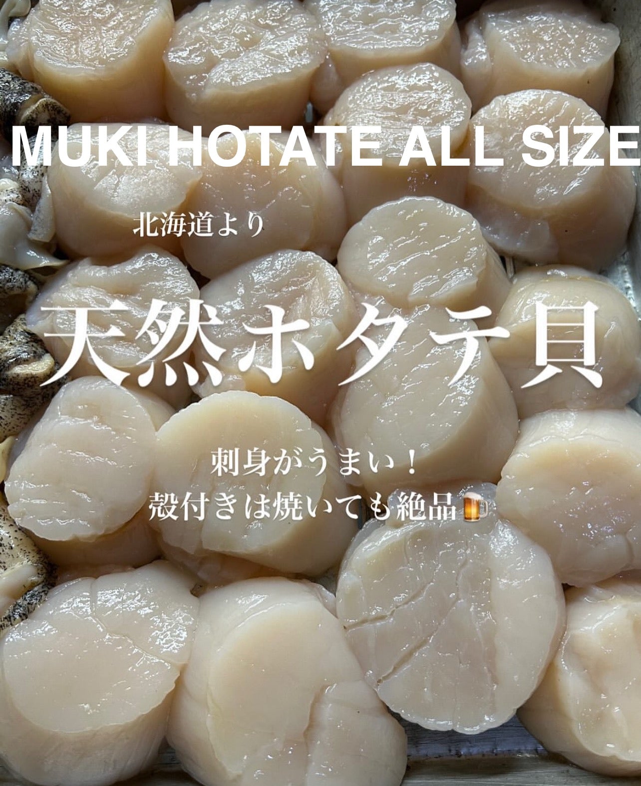 Premium Japanese Hokkaido Scallops (MUKI HOTATE/ 12,15, or 18counts)