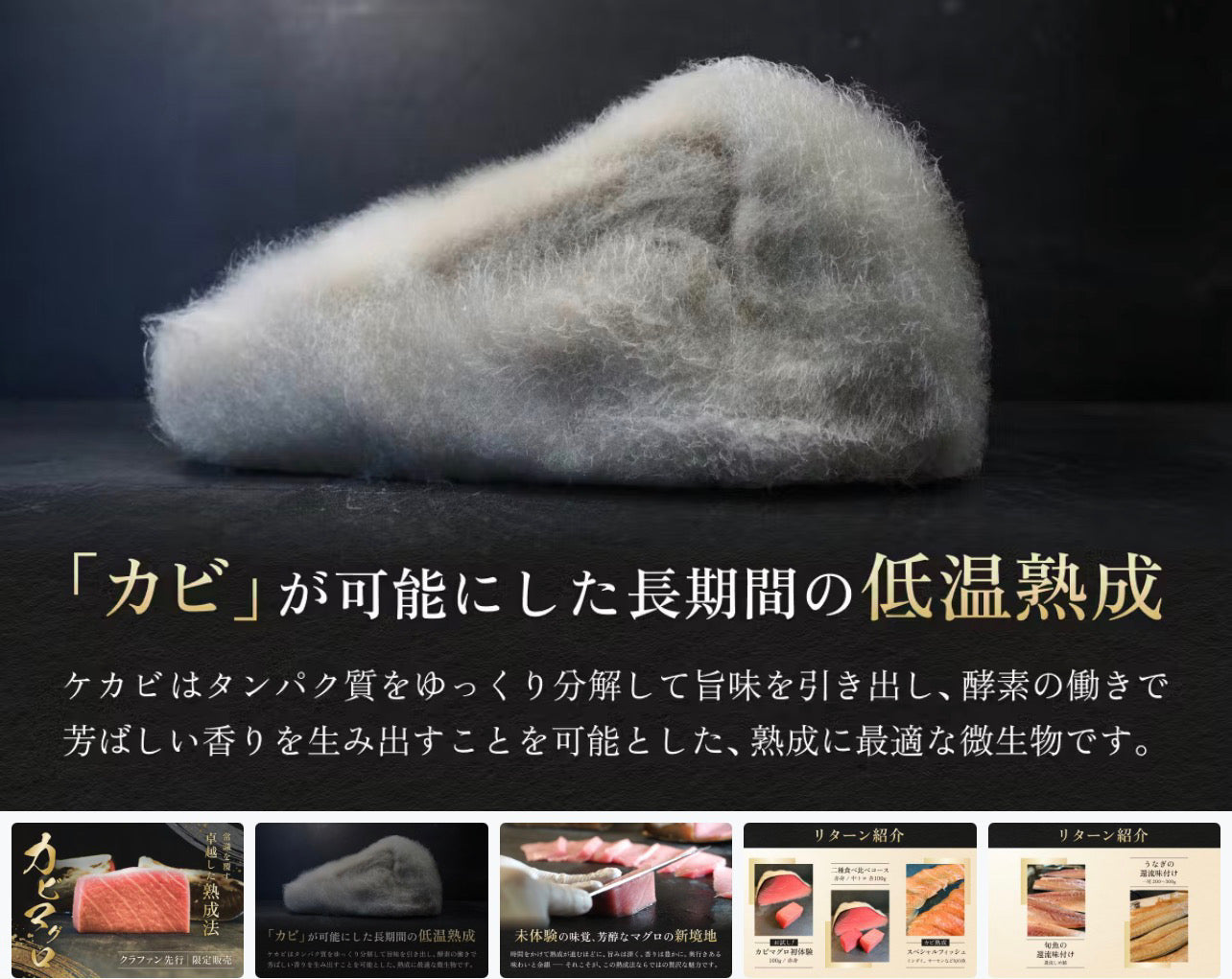 Kabi Maguro: The World’s First Mold-Aged Bluefin Tuna