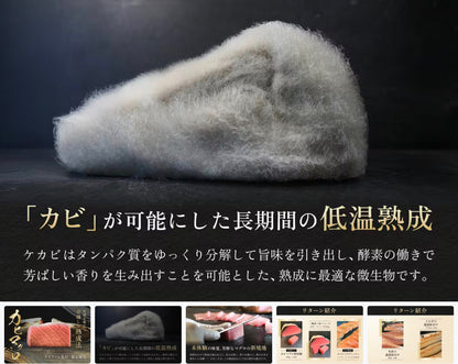 Kabi Maguro: The World’s First Mold-Aged Bluefin Tuna