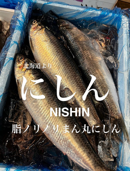 Premium Japanese Herring (Nishin)150~300g