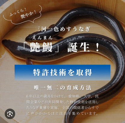 Premium Shizuoka Farm-Raised Female Eel (Unagi)300~600g