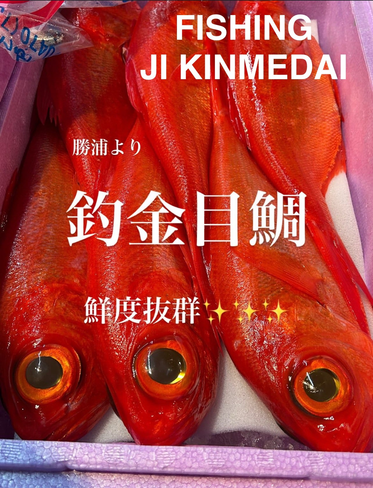 Top-Grade Golden Eye Snapper(Premium Ji-Kinmedai)- Wild-Caught in Japan