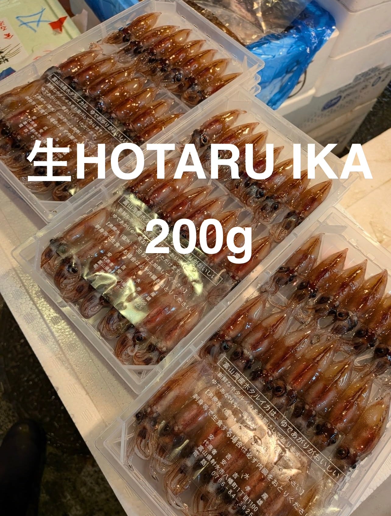 Premium Raw Firefly Squid (Hotaru-Ika) - 200g/PK