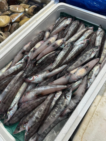 Premium Japanese Greeneye Fish (MEHIKARI) 60~80g