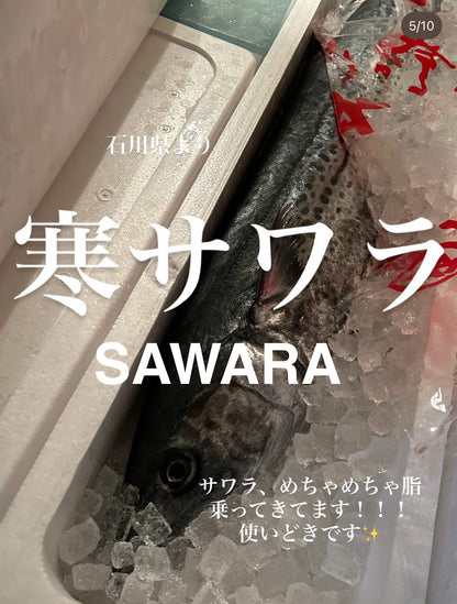 Premium Japanese Spanish Mackerel (Sawara) 6.7~11.2LB