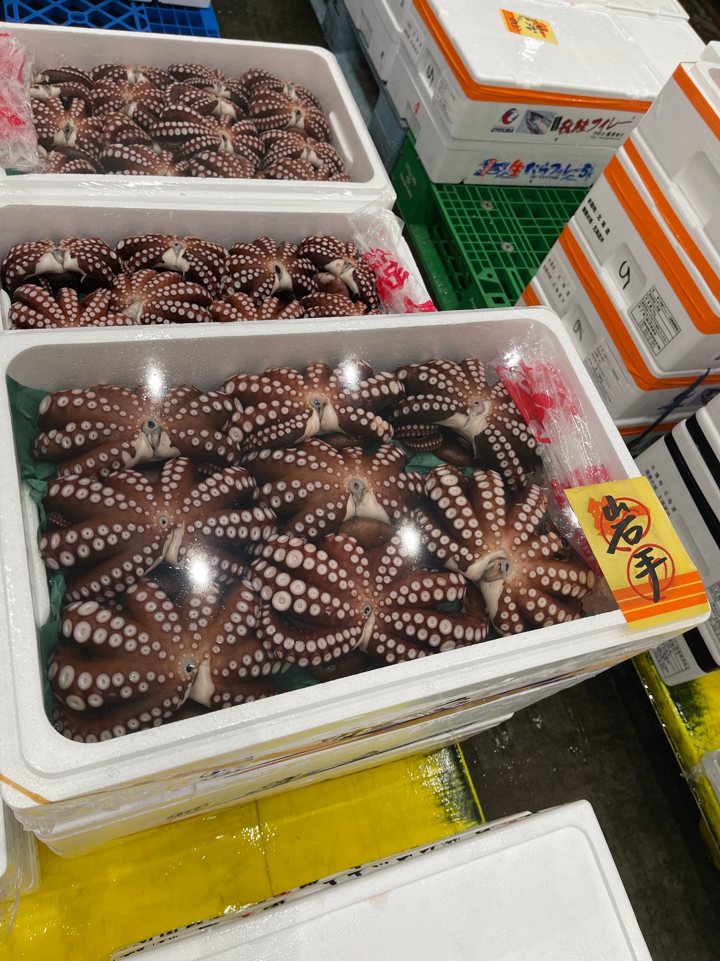 Premium Steamed Octopus (Mushi Tako) - 2.5~4.5LB
